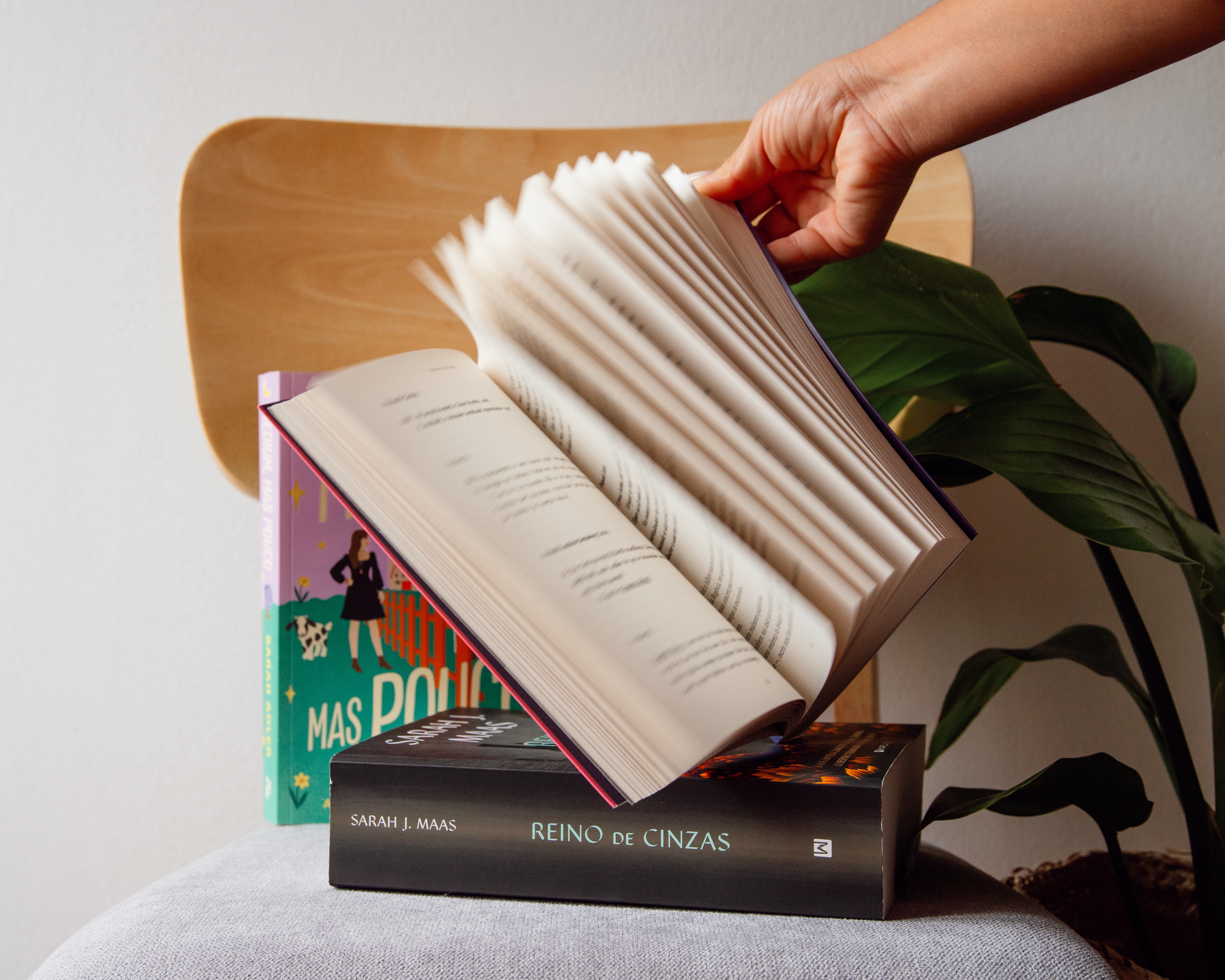 A emoção de ler – e os livros de Novembro