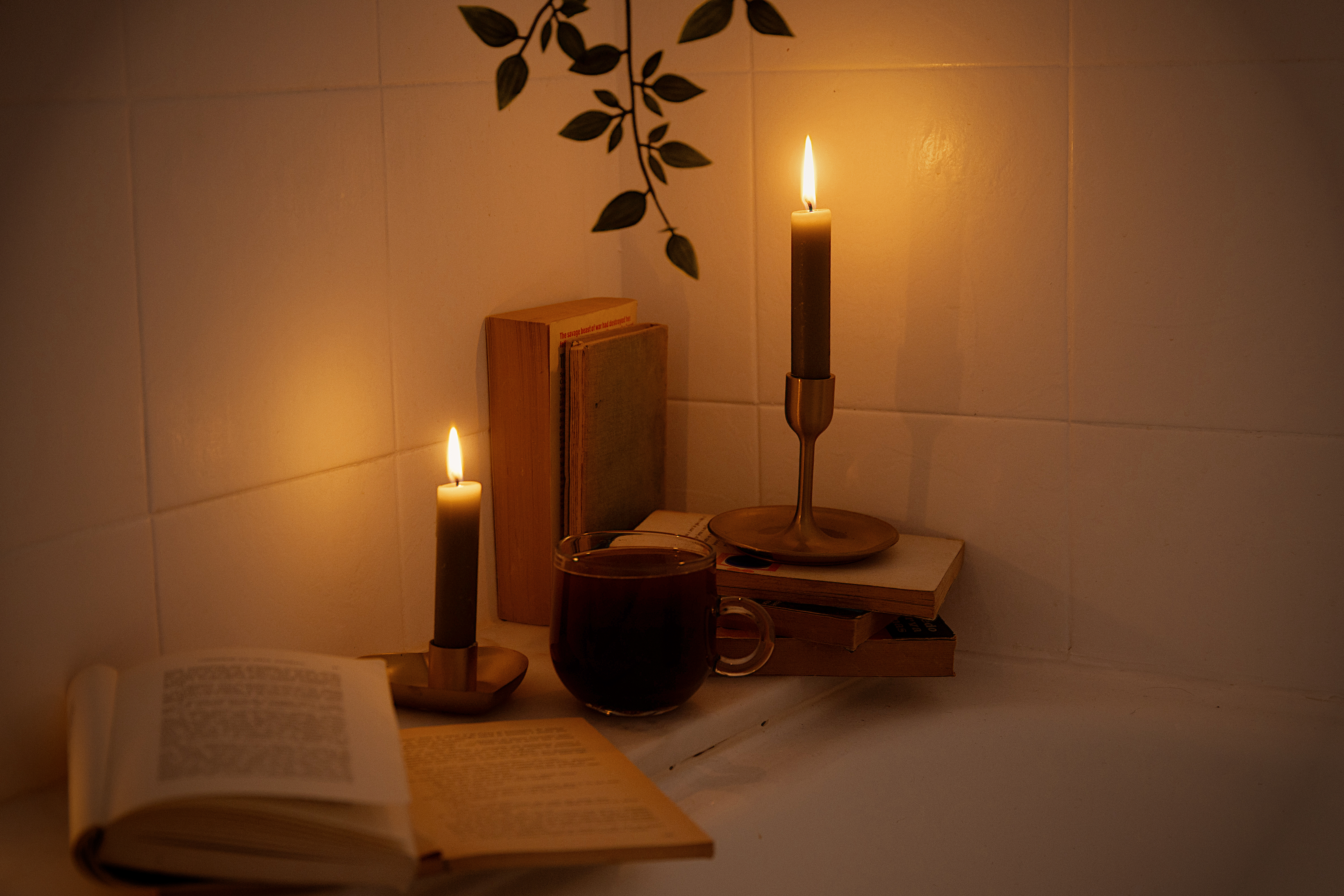 Livros Favoritos e Resoluções de Ano Novo